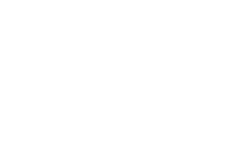 optiontiger_cc.png
